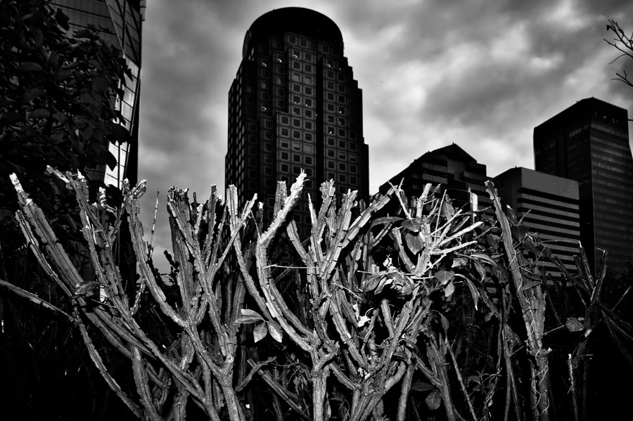 BABEL #8, Archival Pigment Print,  84x59.4cm, 2011