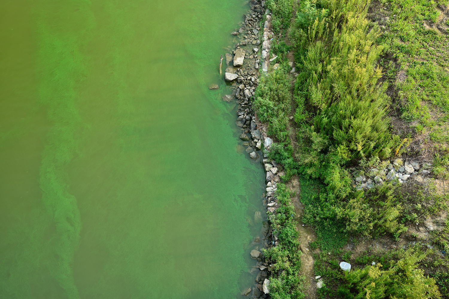 Down by the River_부여, 금강_Geumgang, Buyeo_Pigment Print_100x150cm_2013