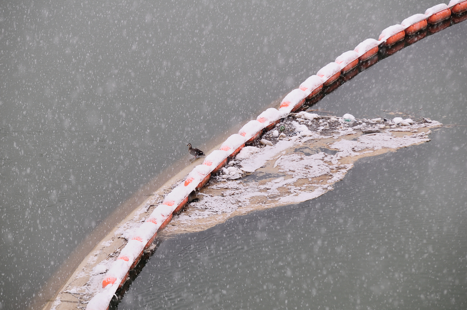 Down by the River_여주, 남한강_Namhangang, Yeoju_Pigment Print_70x105cm_2011