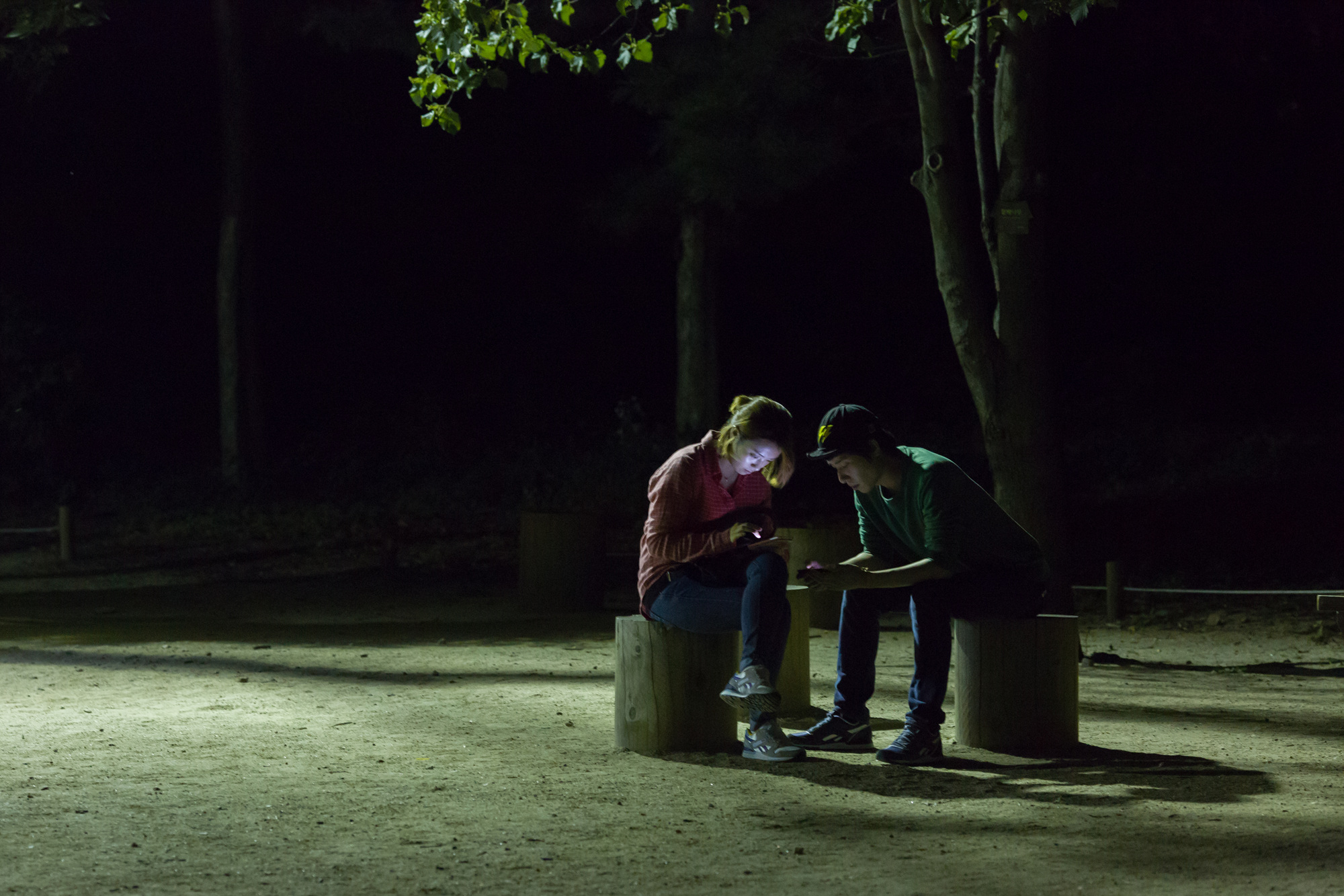 Homo Smartphonicus 14,2013