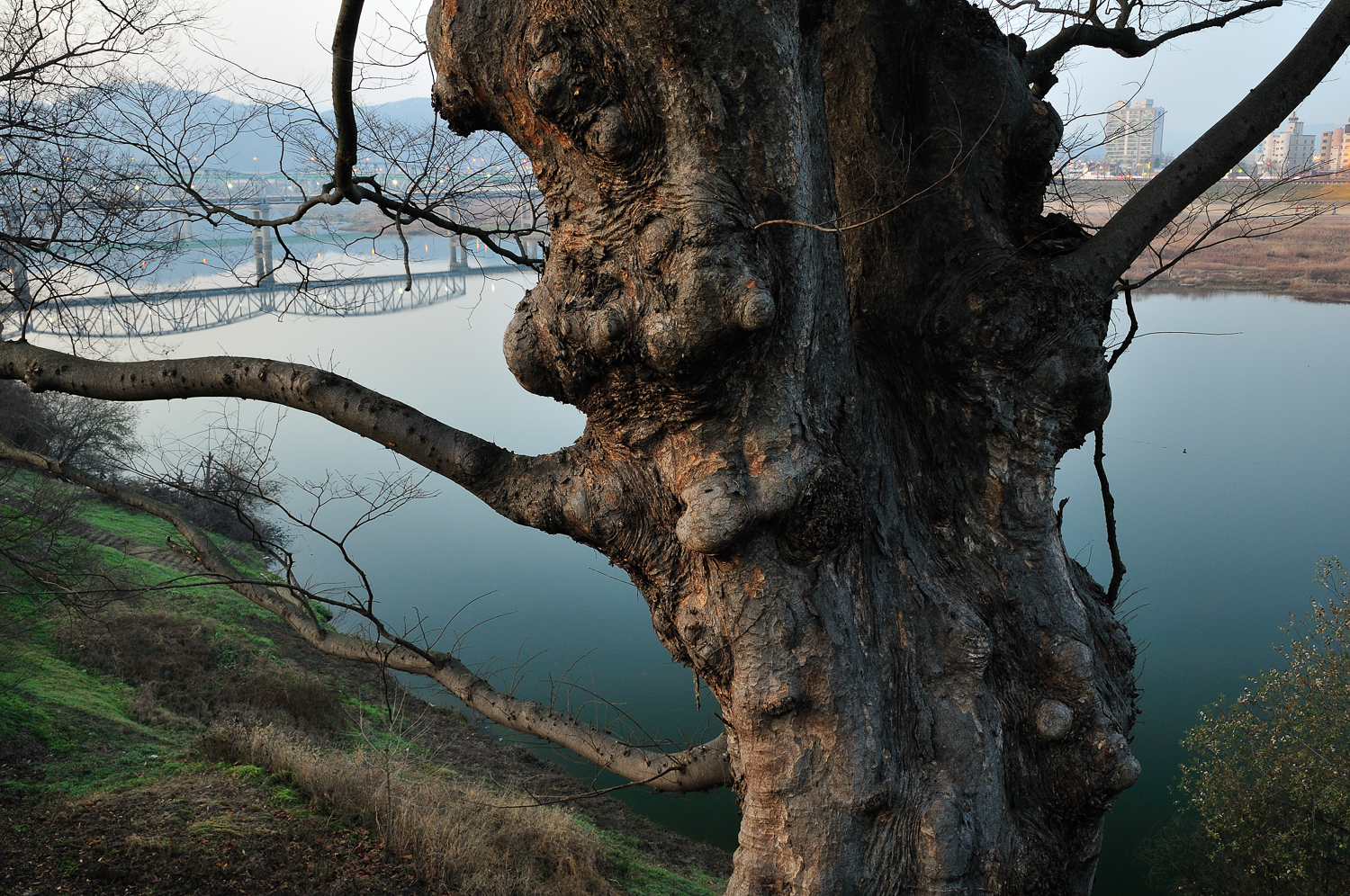 Interscape_공주, 공산성_Gongsanseong, Gongju_Pigment Print_73x110cm_2009