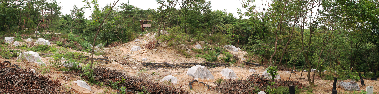 Interscape_서울, 불암산_Buramsan, Seoul_Pigment Print_55x220cm_2007