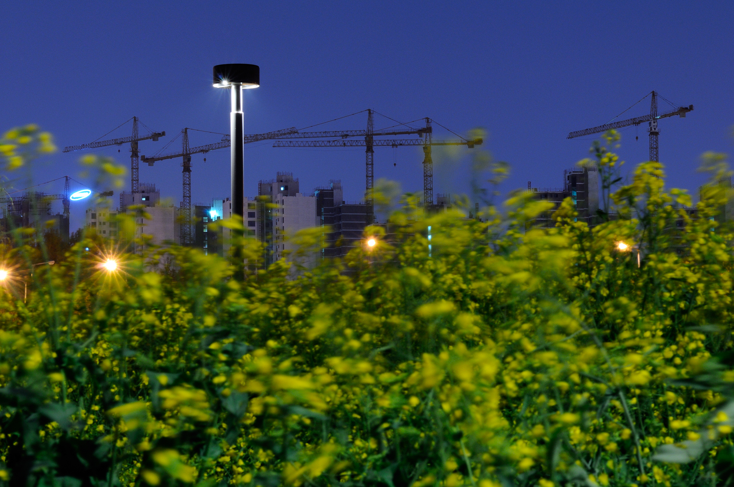 Interscape_서울, 서래섬_Seoraeseom, Seoul_Pigment Print_73x110cm_2008