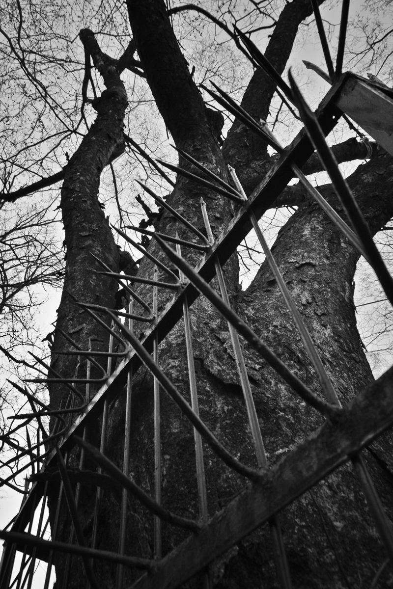 REQUIEM #11, Archival Pigment Print, 84x118,8cm, 2009