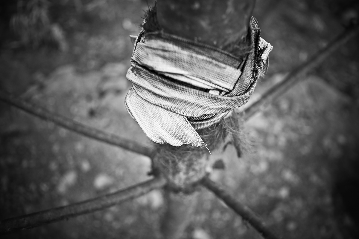 REQUIEM #17, Archival Pigment Print, 84x59.8cm, 2009