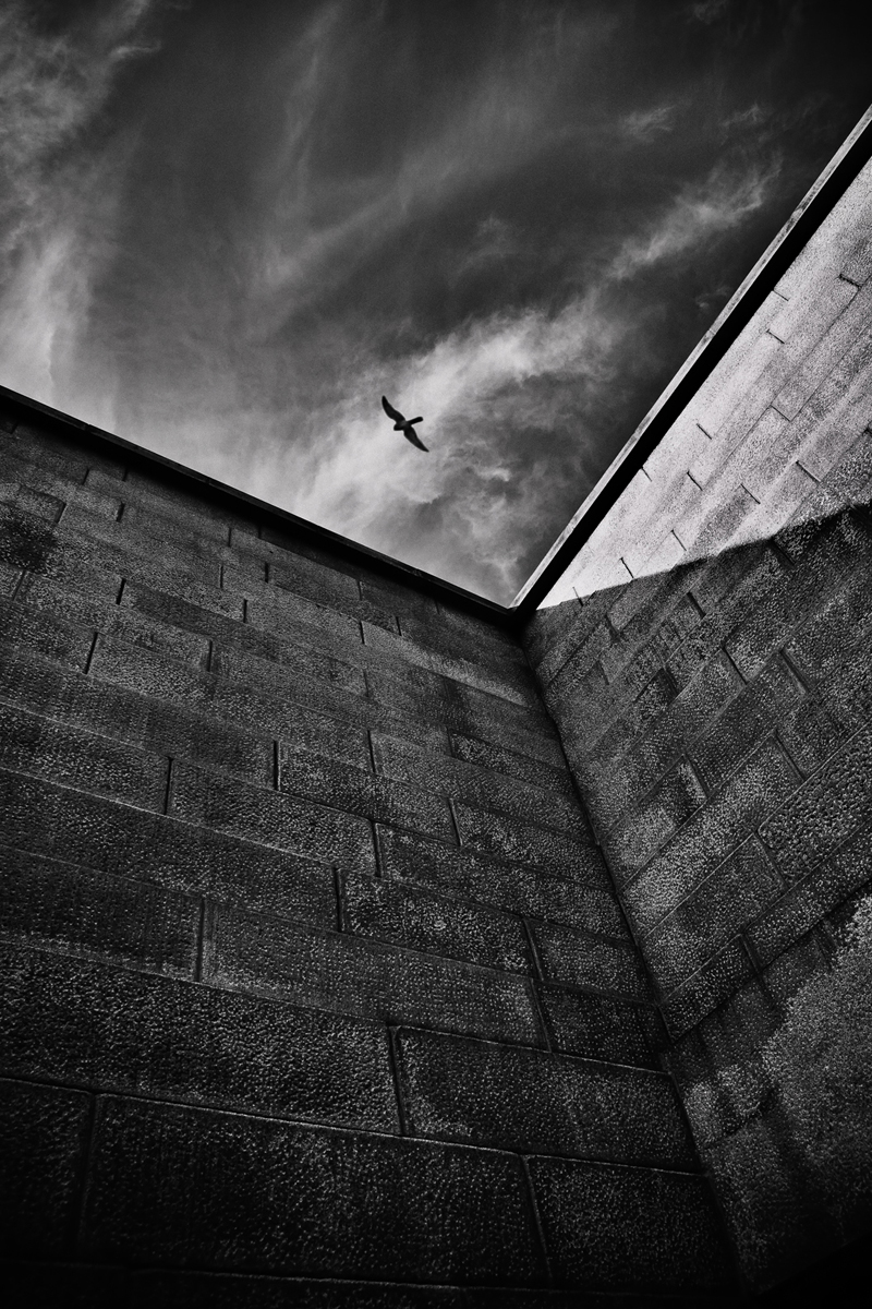 REQUIEM #20, Archival Pigment Print, 110x165cm, 2007