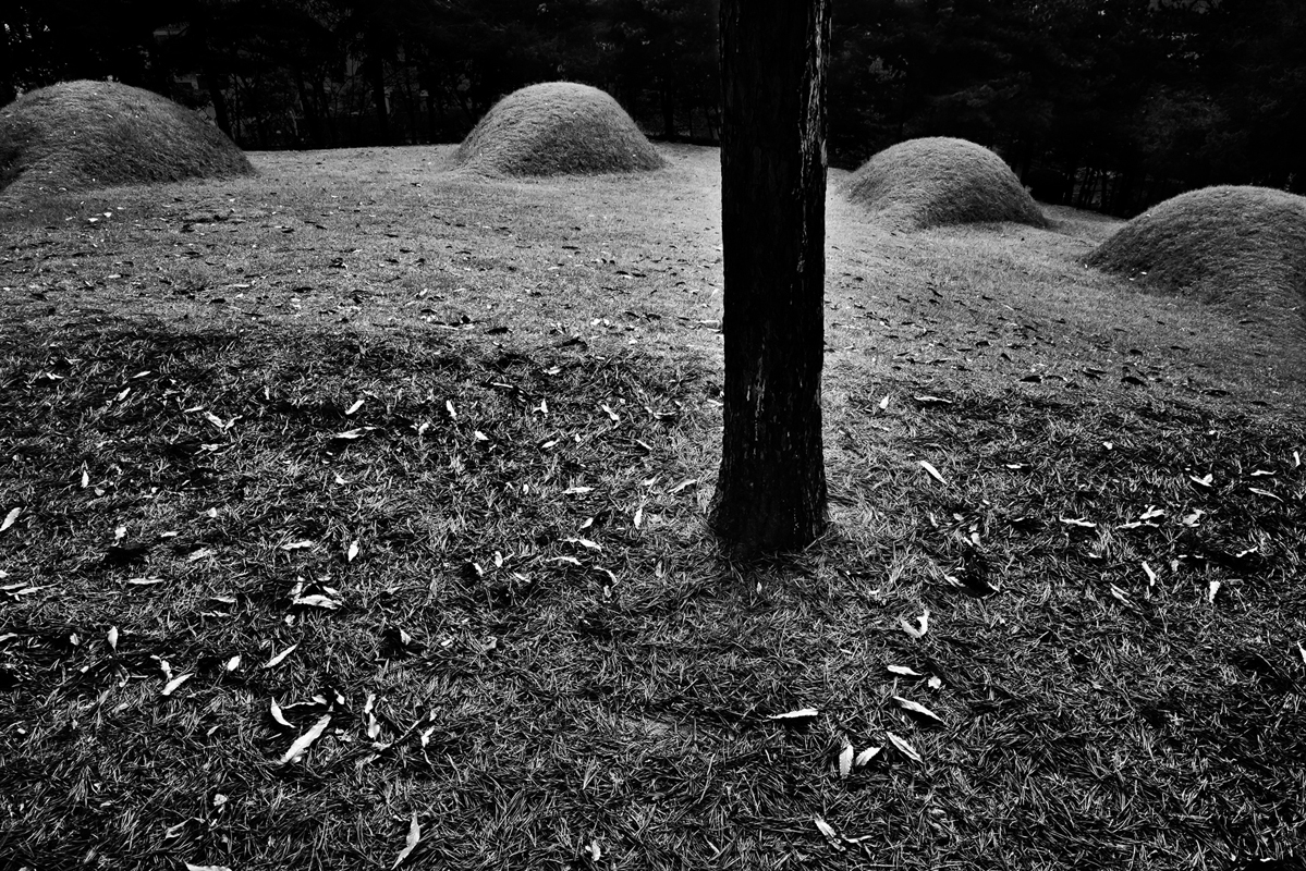 REQUIEM #3, Archival Pigment Print, 84x59.9cm, 2009