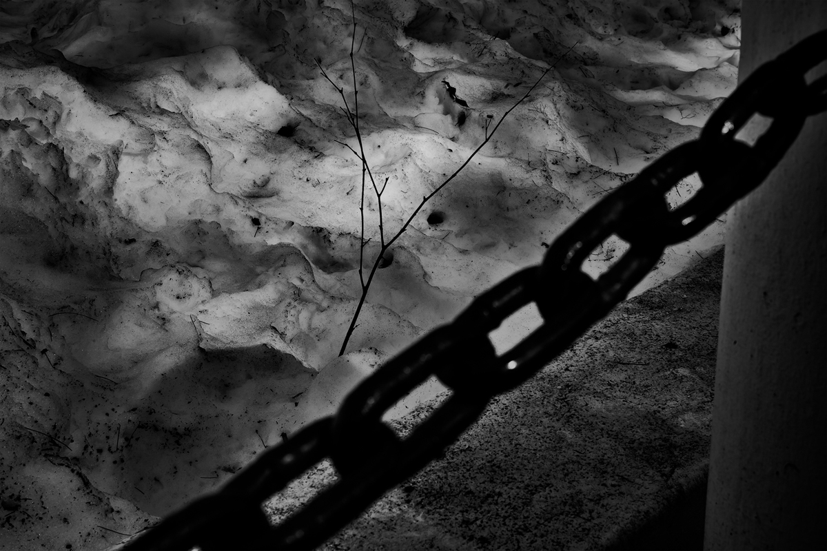 REQUIEM #6, Archival Pigment Print, 84x59.8cm, 2010