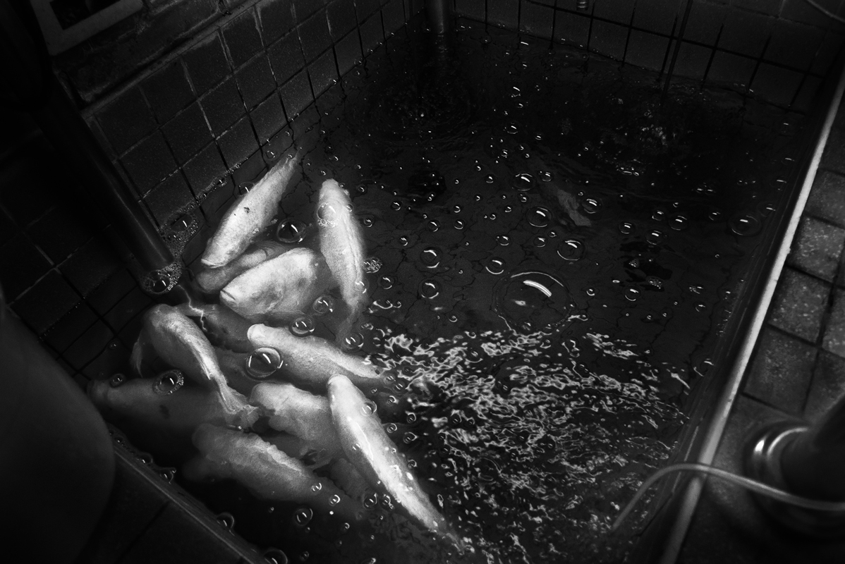 REQUIEM #8, Archival Pigment Print, 84x59.8cm, 2009