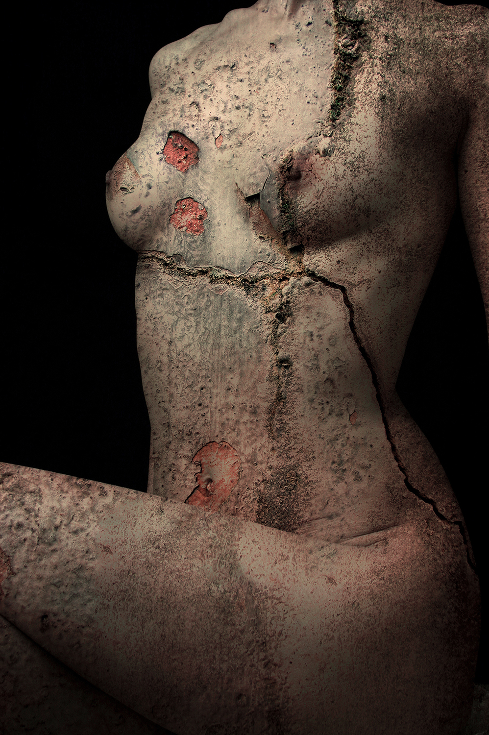 Social body # 04.Archival ink jet print.80x120.2008