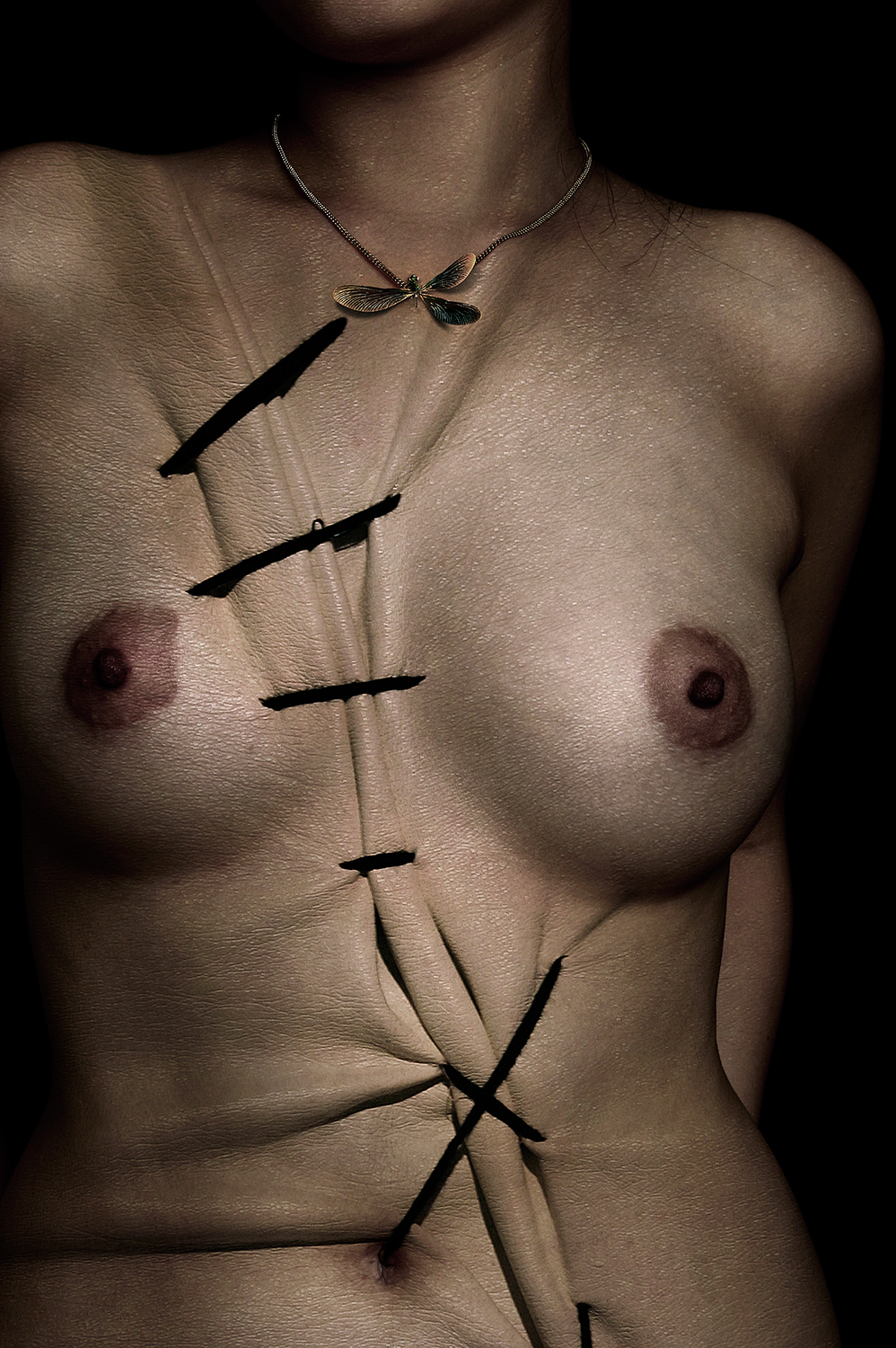 Social body # 23.Archival ink jet print.80x120.2010