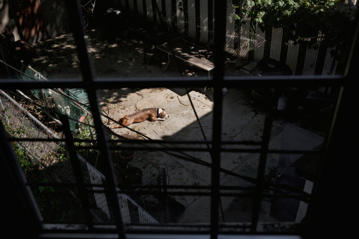 05. Channel 247, archival pigment print, 24X36inches, 2012