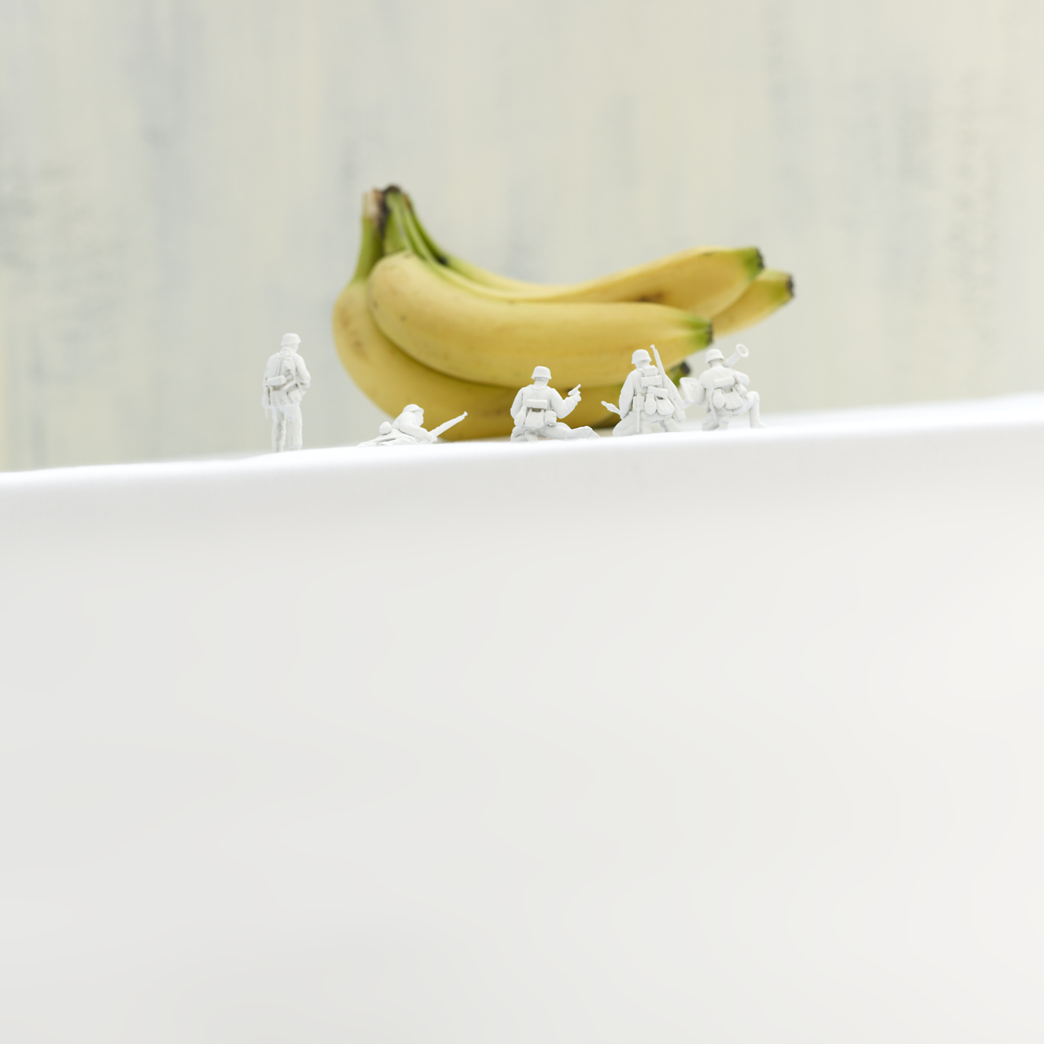 Romantic Soldiers s#5-Pigment Print on fine art paper 80X60cm 2011