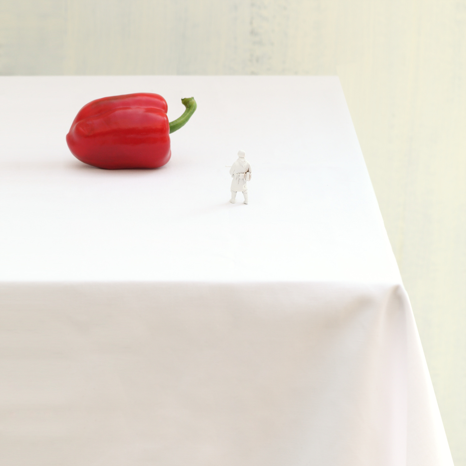 Romantic Soldiers s#6-Pigment Print on fine art paper 80X60cm 2011