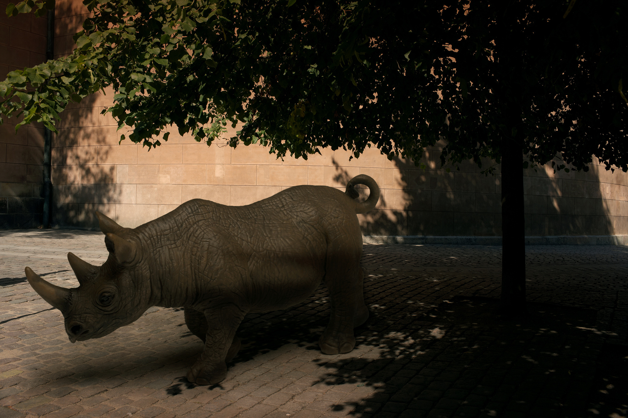 01 An African Black Rhino, Pigment print, 124.5cm X 83cm, 2010