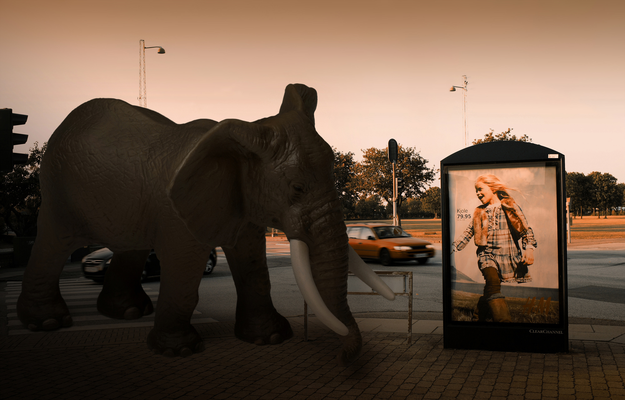 02 An African Elephant, Pigment print, 129.86cm X 83cm, 2010