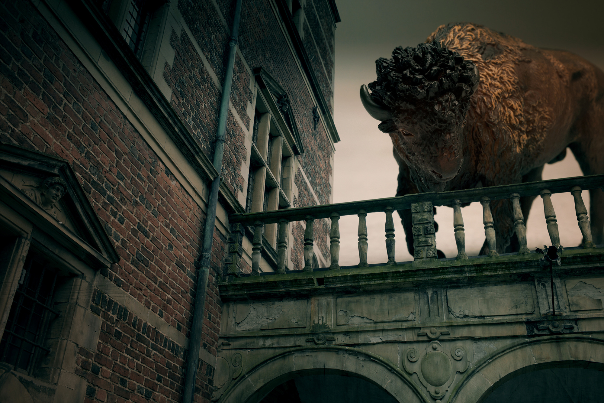 03 An American Bison, Pigment print, 124.5cm X 83cm, 2010