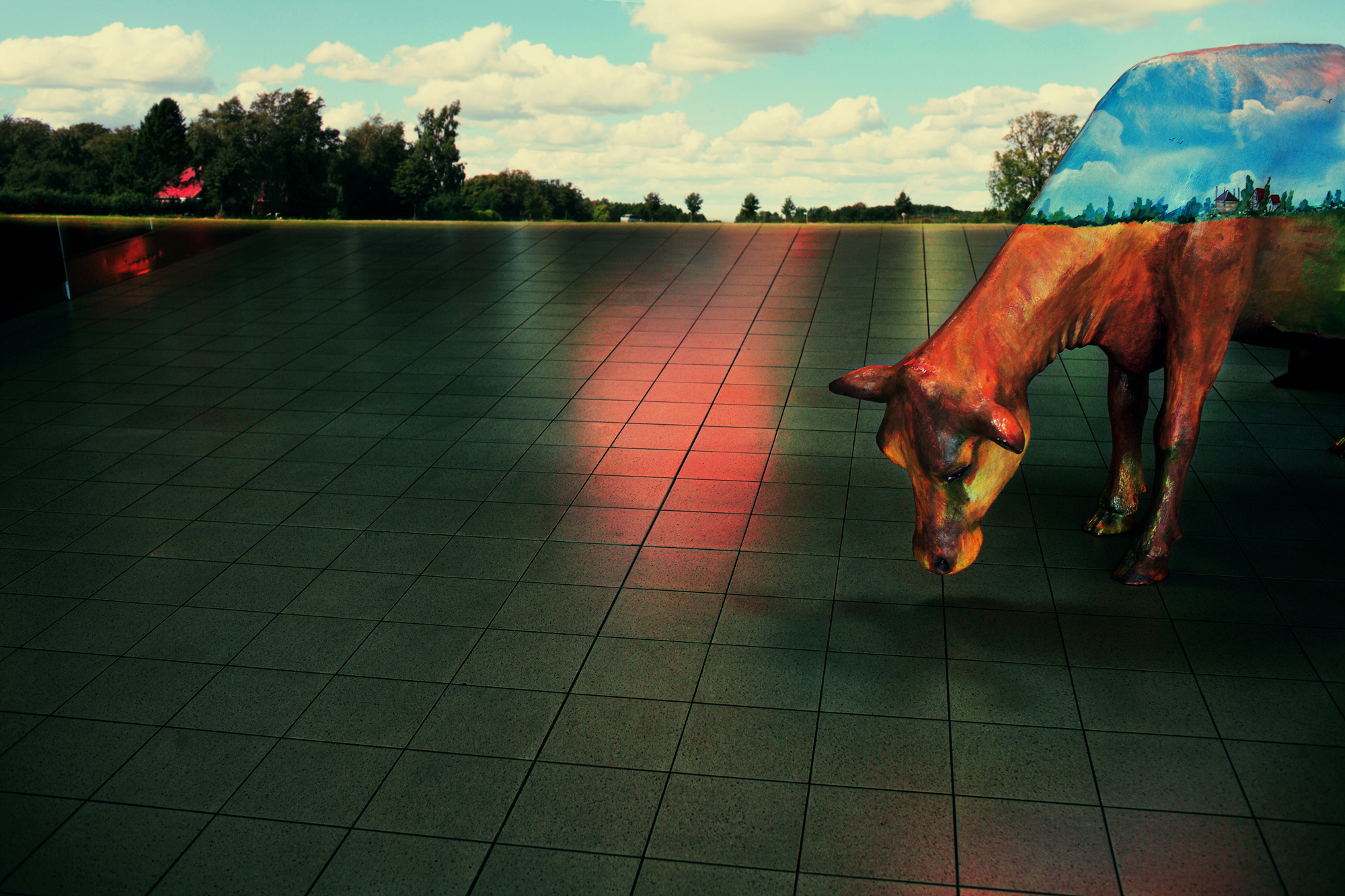 04 A Cow, Pigment print, 124.52cm X 83cm, 2009