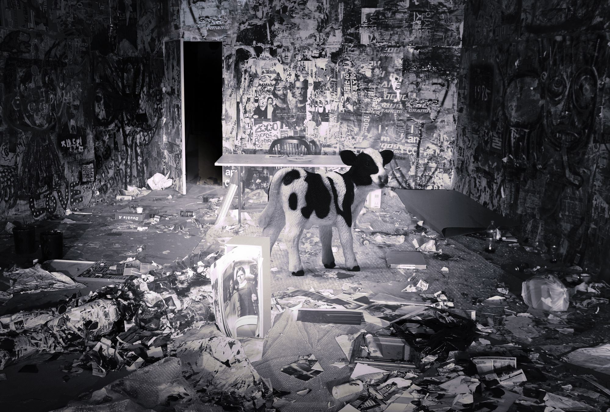 06 A Friesian Calf, Pigment print, 122.91cm X 83cm, 2010