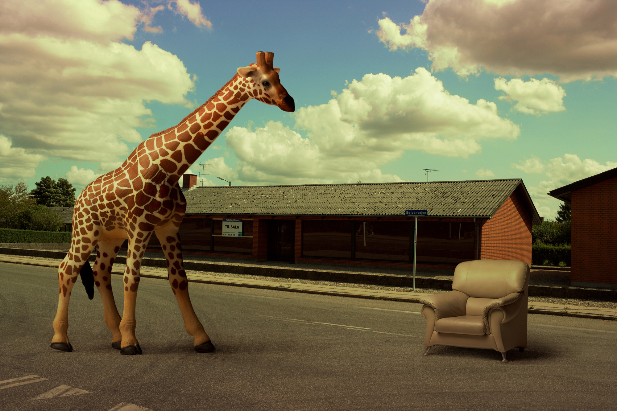 07 A Giraffe, Pigment print, 124.51cm X 83cm, 2010