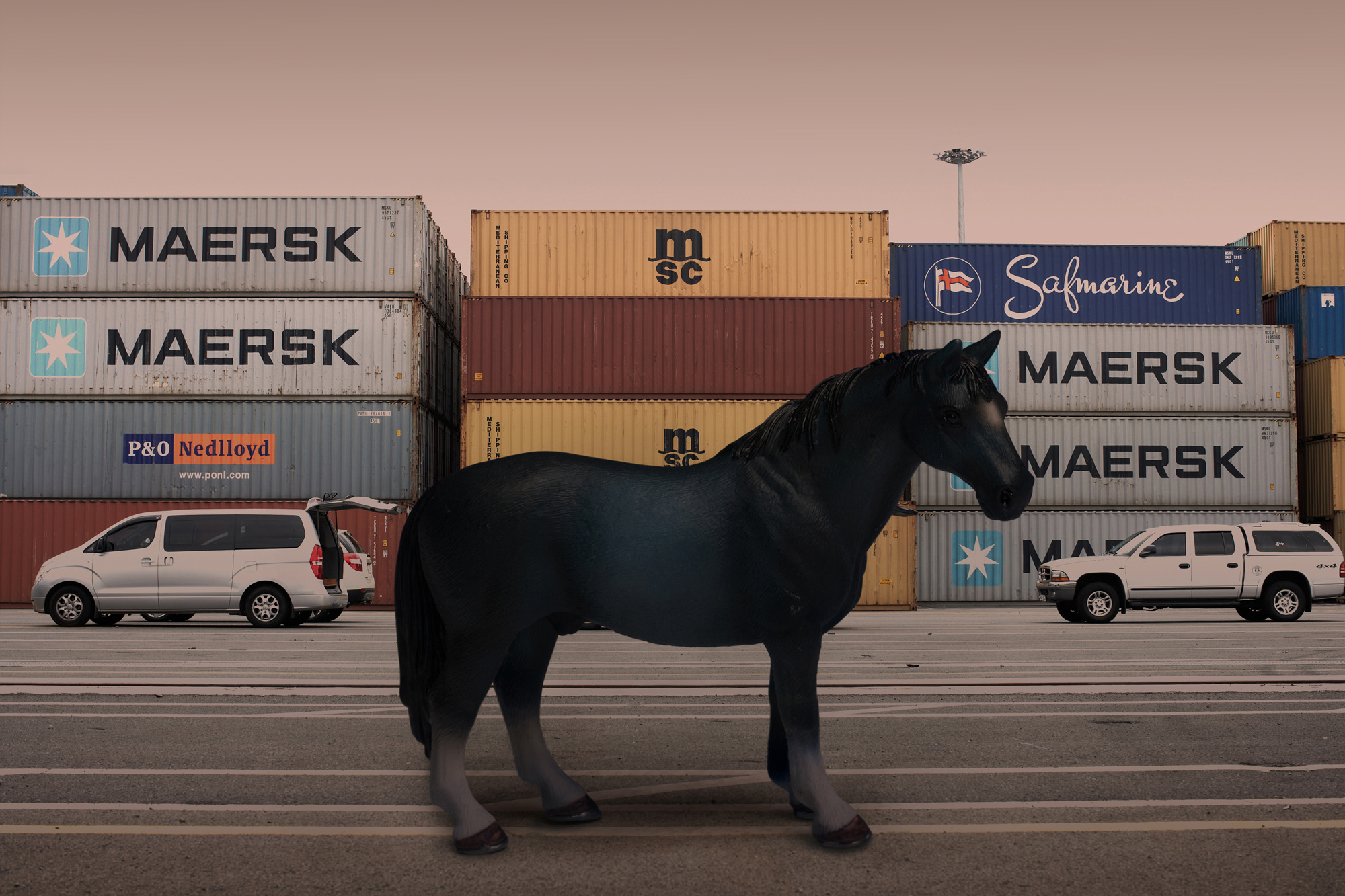 08 An Hanoverian Stallion, Pigment print, 124.51cm X 83cm, 2010