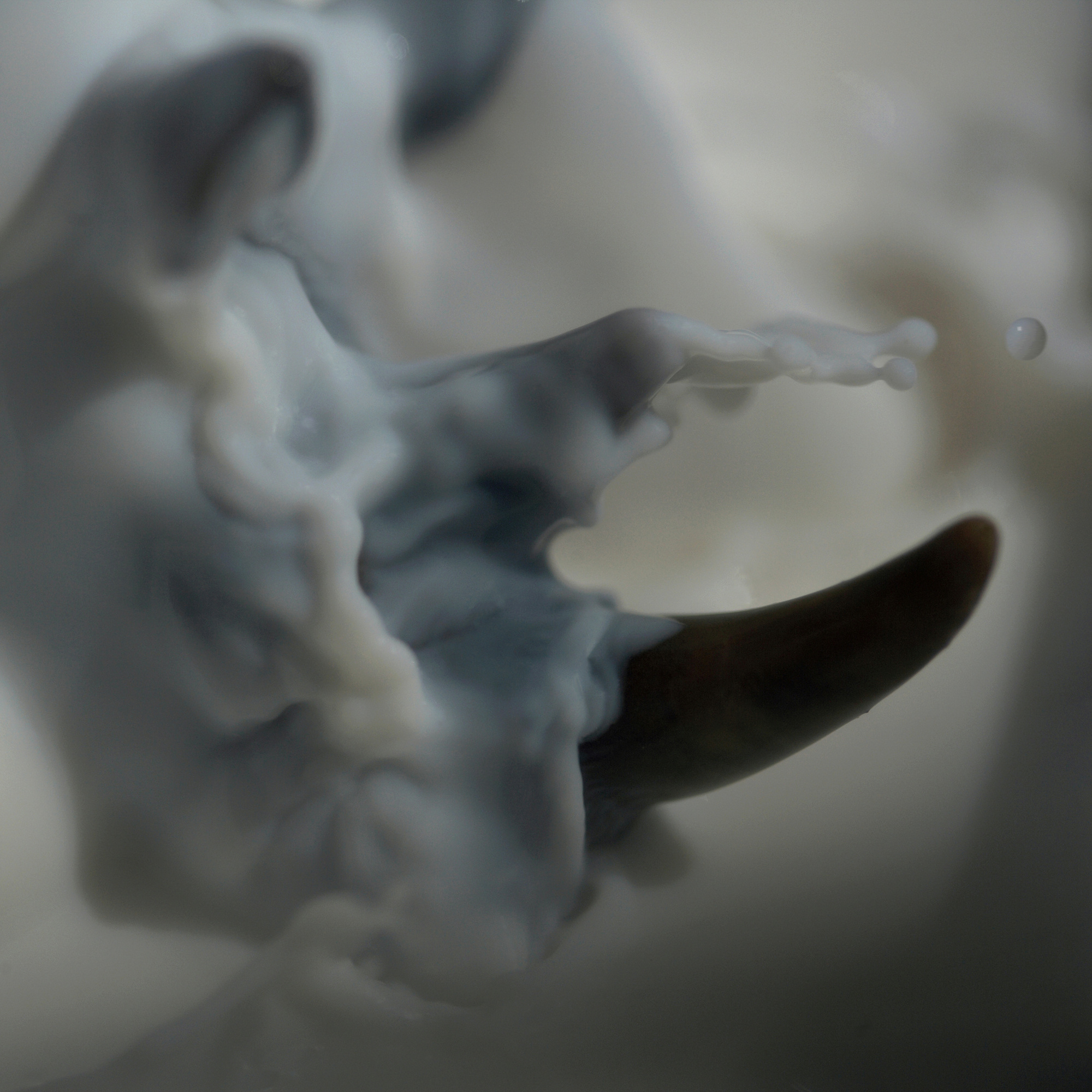 09 A Slippery African Black Rhino, Pigment print, 83cm X 83cm, 2011