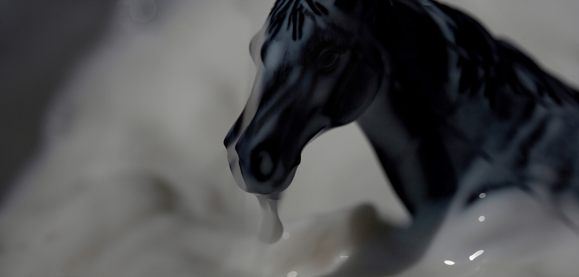 10 A Slippery Hanoverian Stallion, Pigment print, 173.53cm X 83cm, 2011