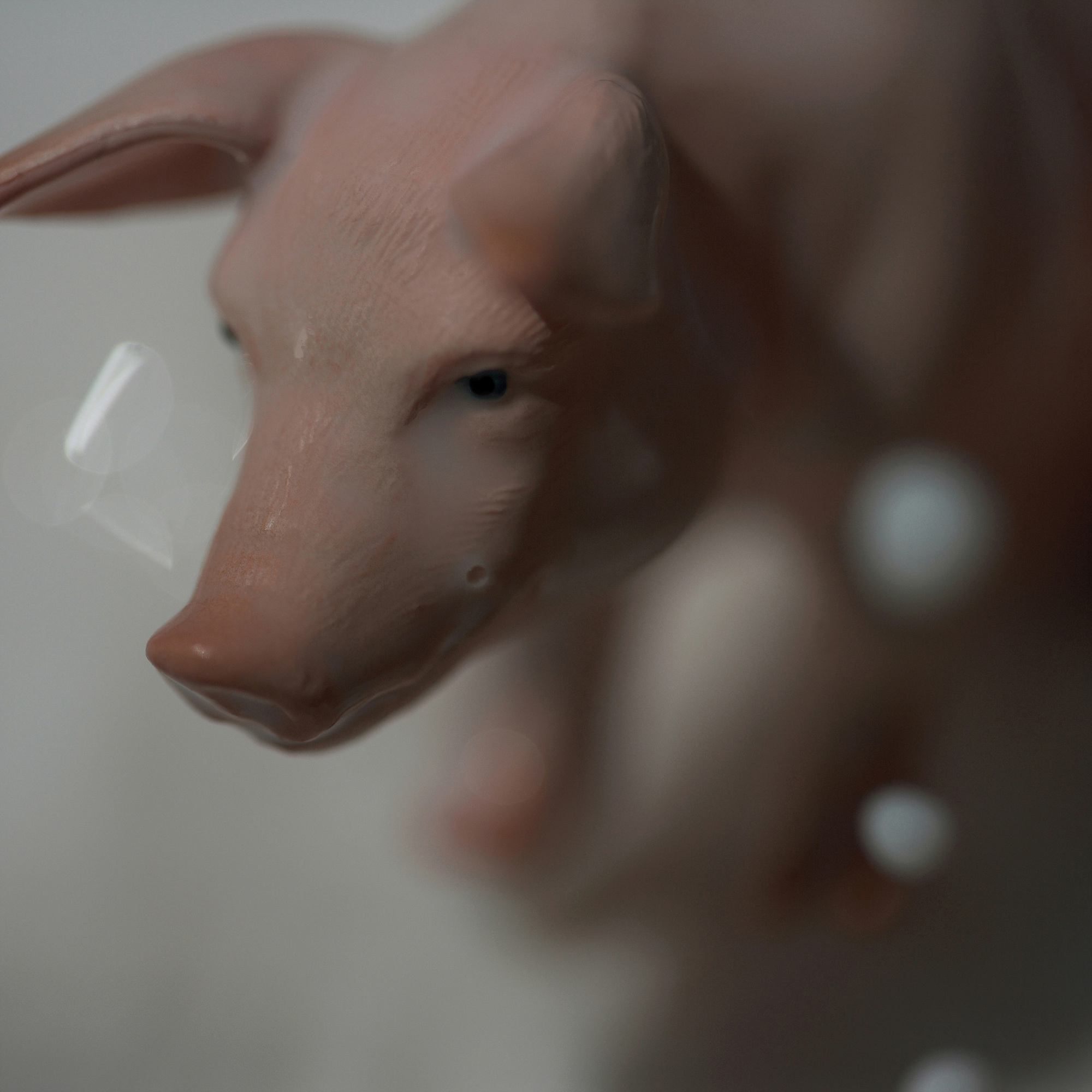 12 A Slippery Sow, Pigment print, 83cm X 83cm, 2011