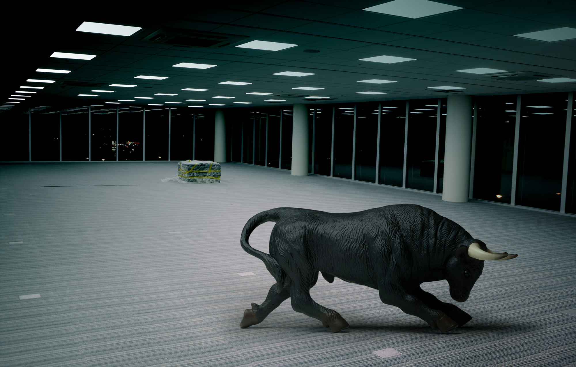 14 A Spanish Black Fighting Bull, 130.24cm X 83cm, 2010