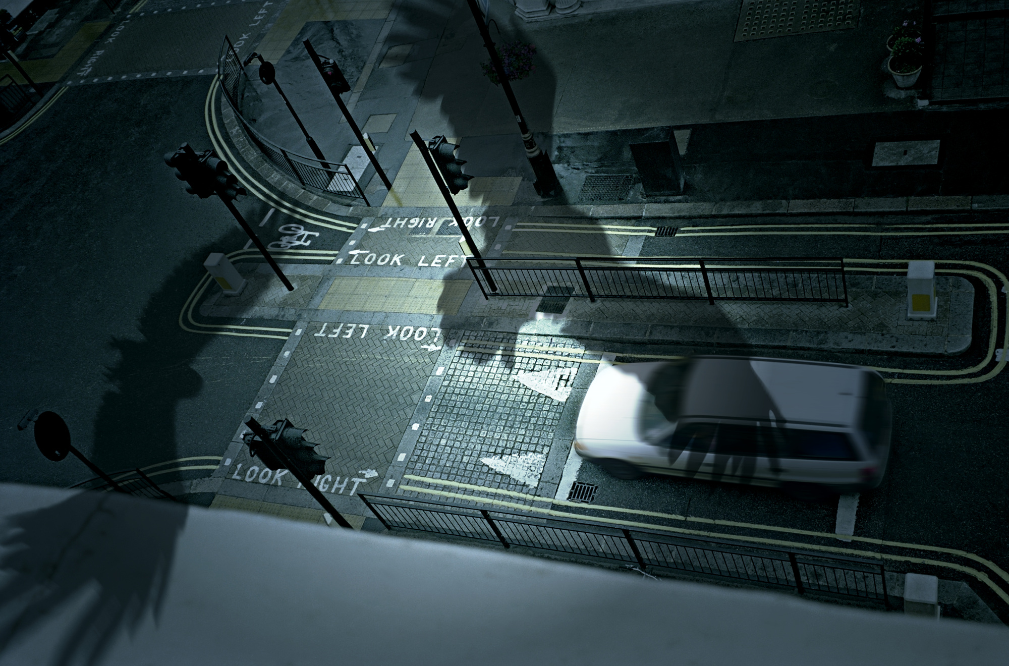 15 Birds, Pigment print, 125.76cm X 83cm, 2008