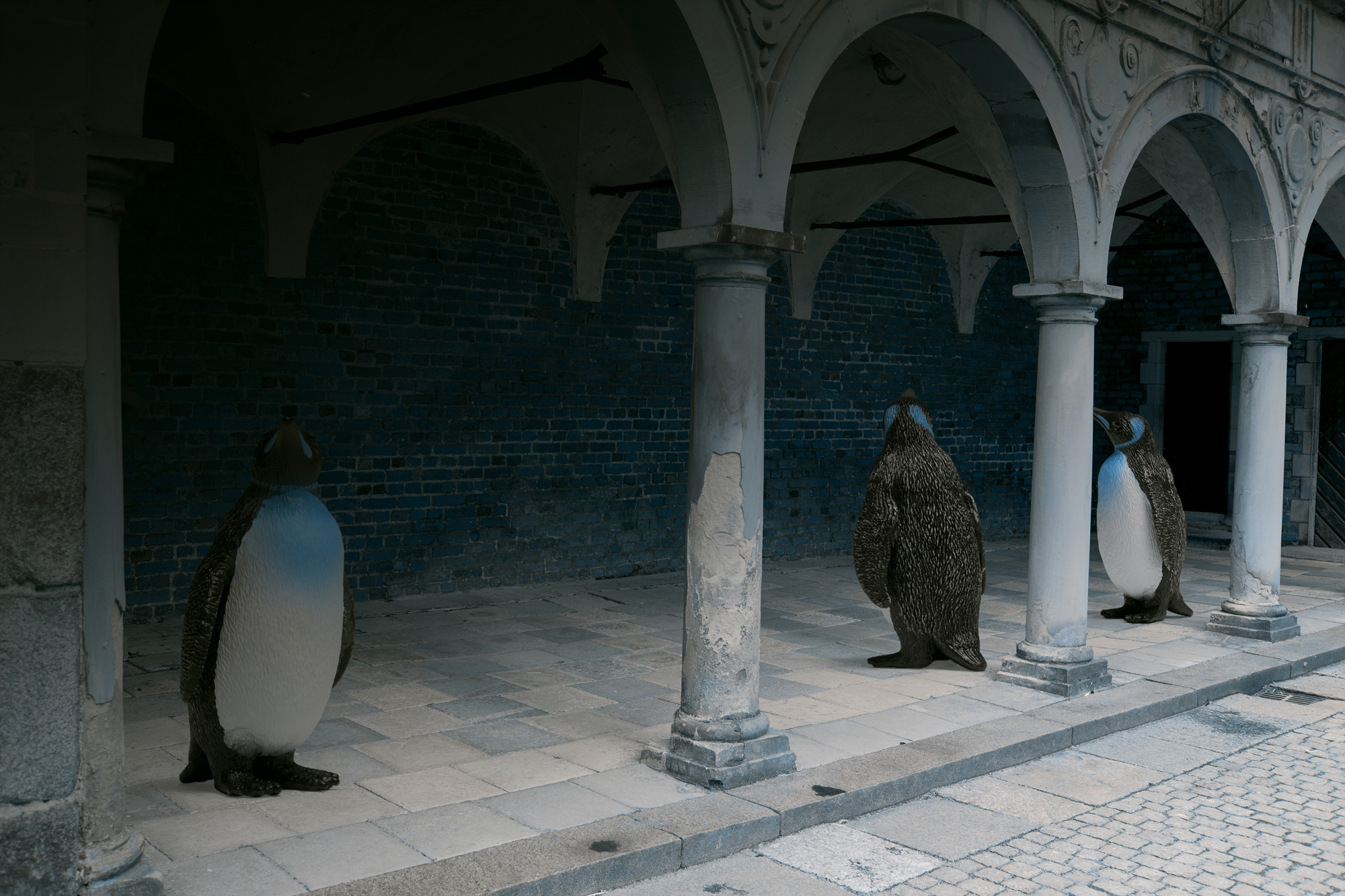 17 King Penguins, Pigment print, 124.51cm X 83cm, 2010