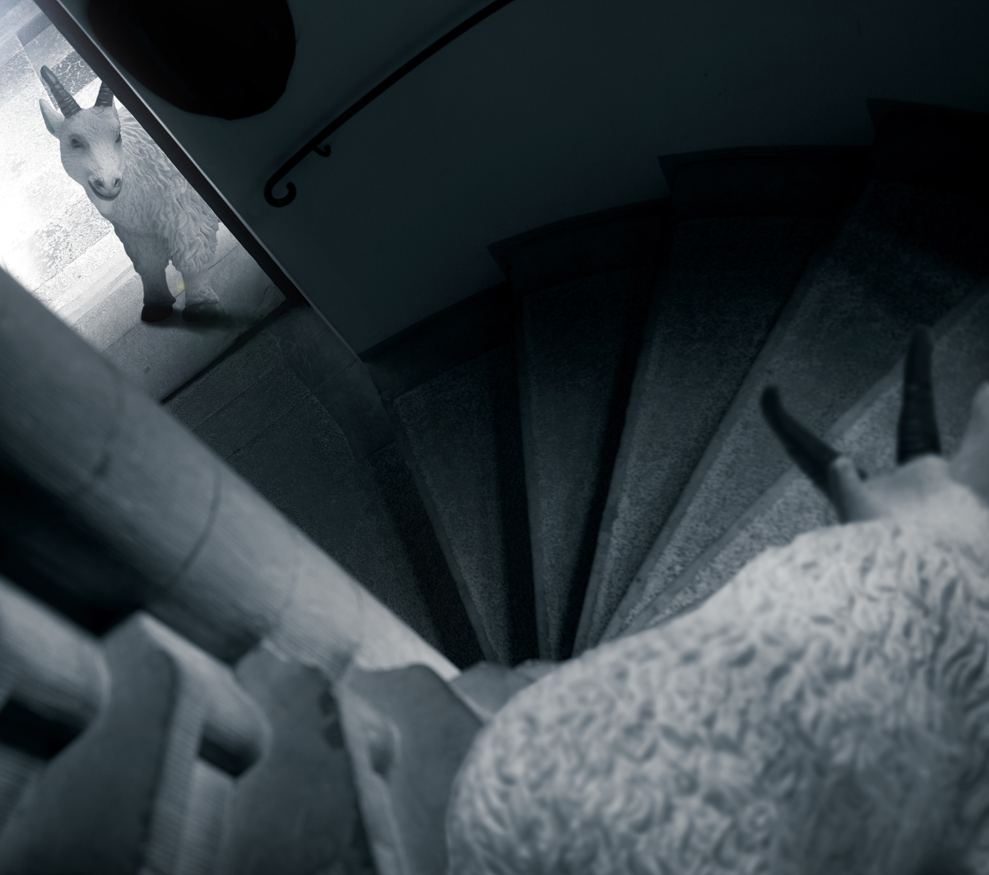 18 Mountain Goats, Pigment print, 93.85cm X 83cm, 2010