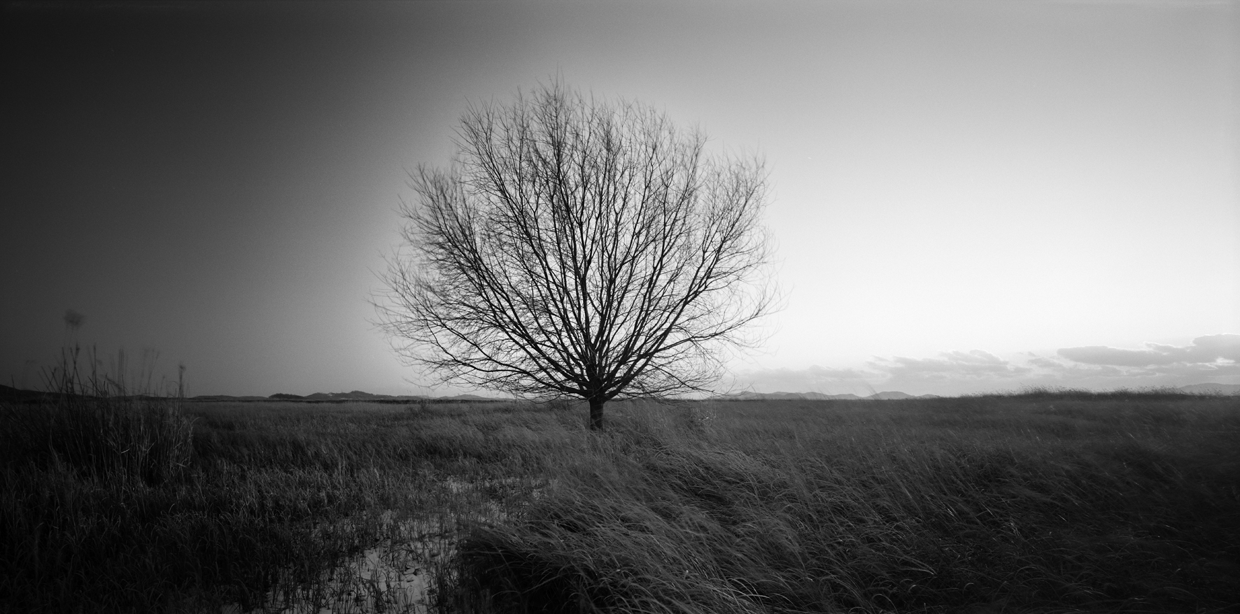 003-서해안-경기도 화성시 시화호 01,2009 50