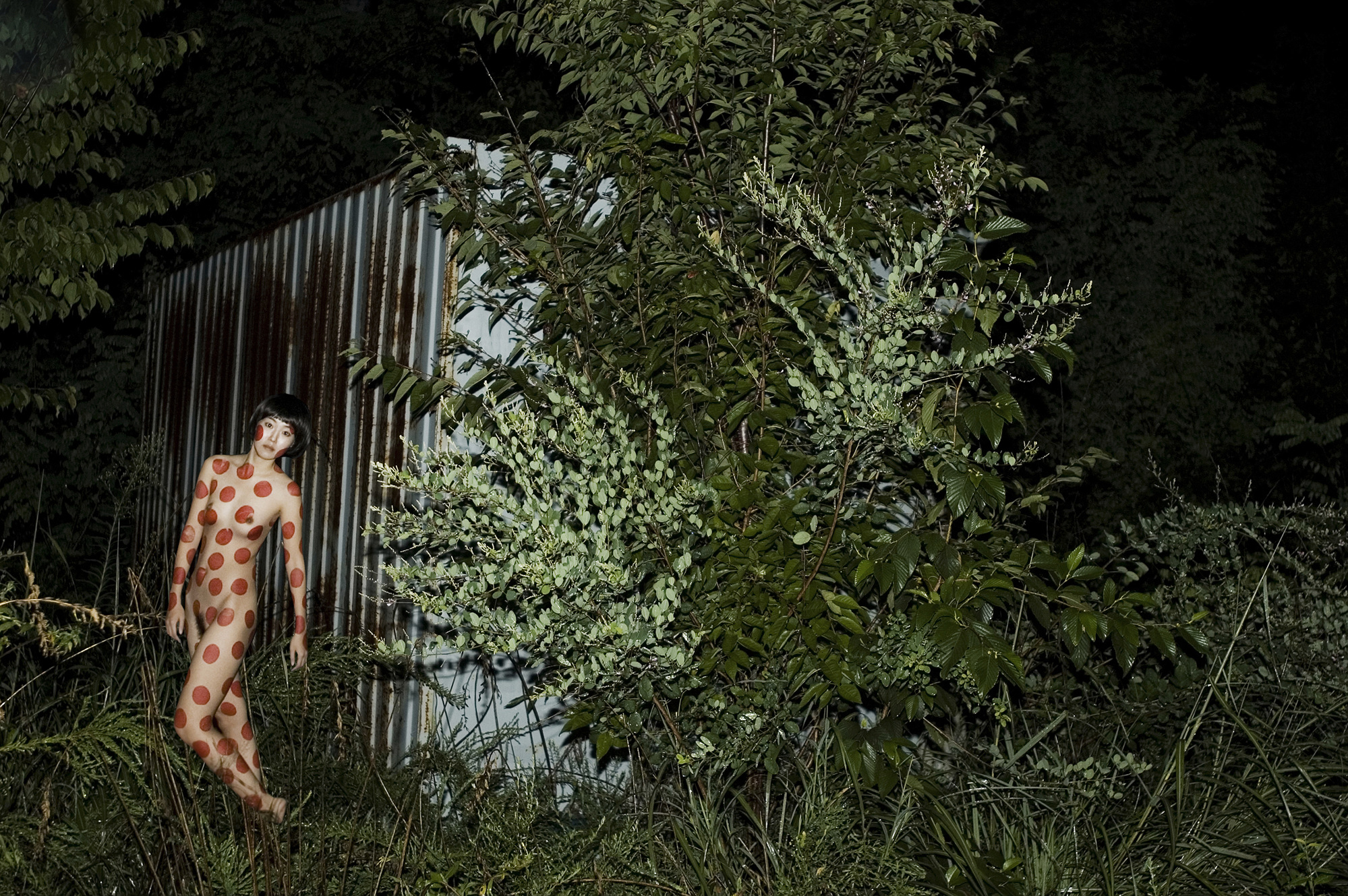 009 At night_pigment prin_110x160cm_ 2010