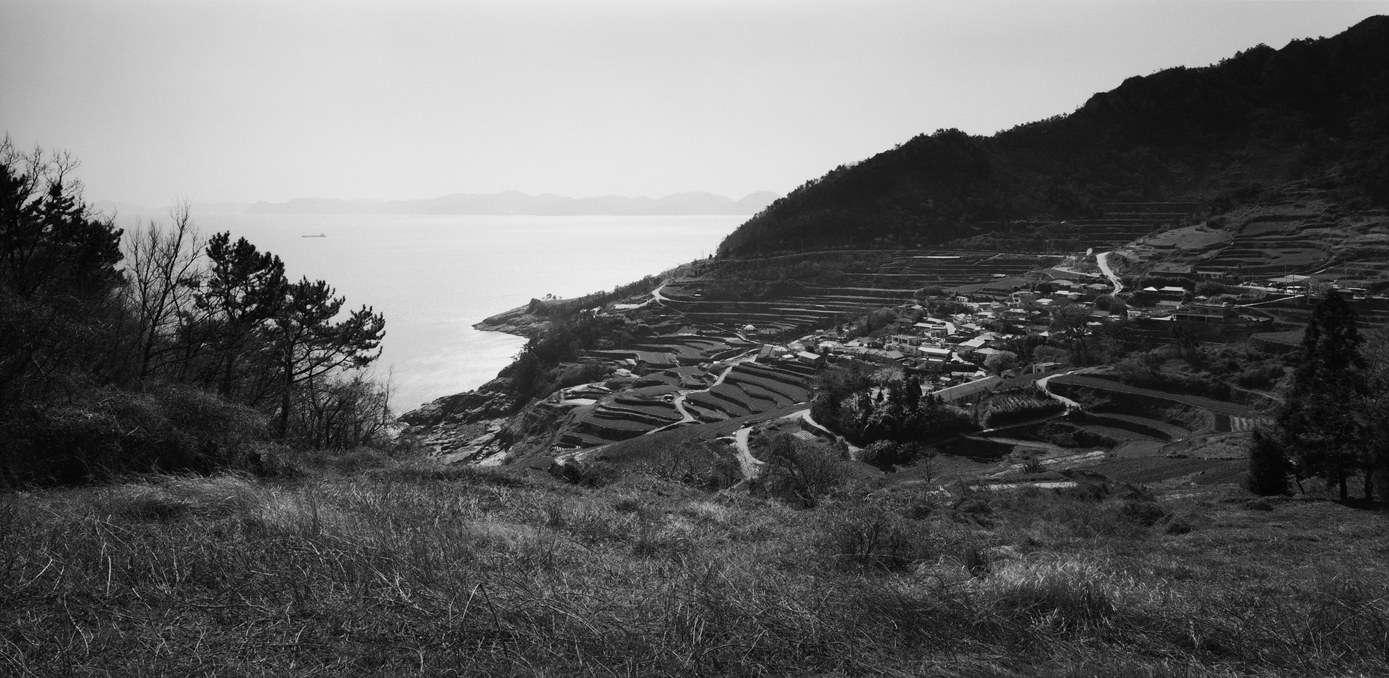 010(f) 남해안-전남 남해군 남면 다랭이논,2009 50