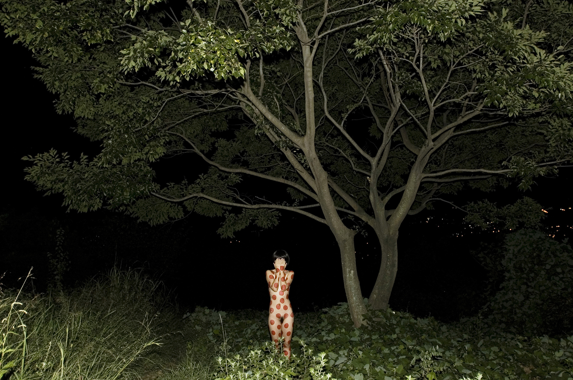 013 At night_pigment prin_110x160cm_ 2010