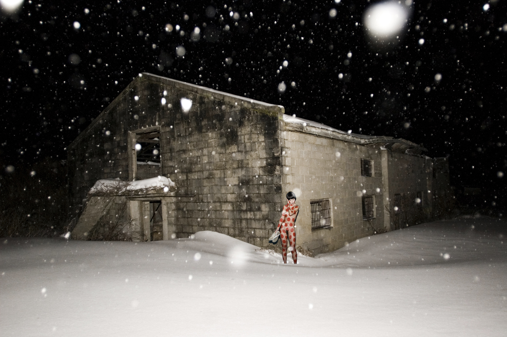 015  At night_pigment prin_110x160cm_ 2011