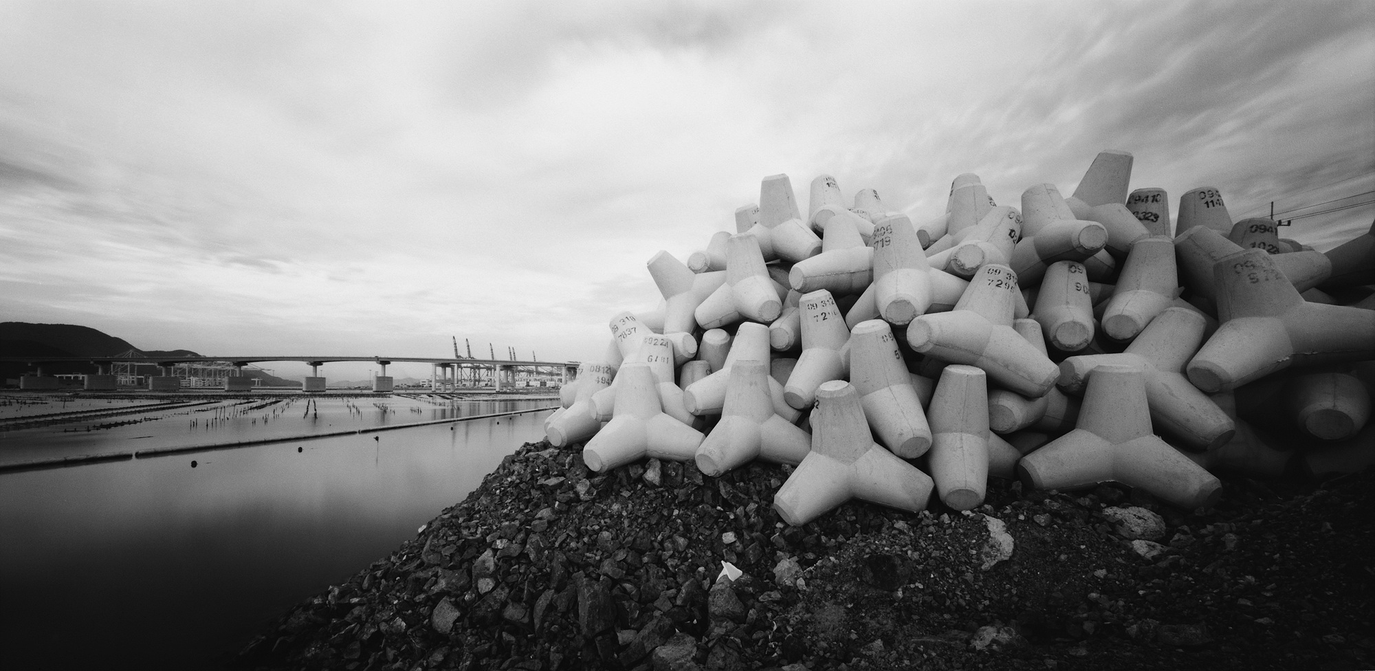 016(f) 남해안-경남 부산시 강서구 송정동,2009 50