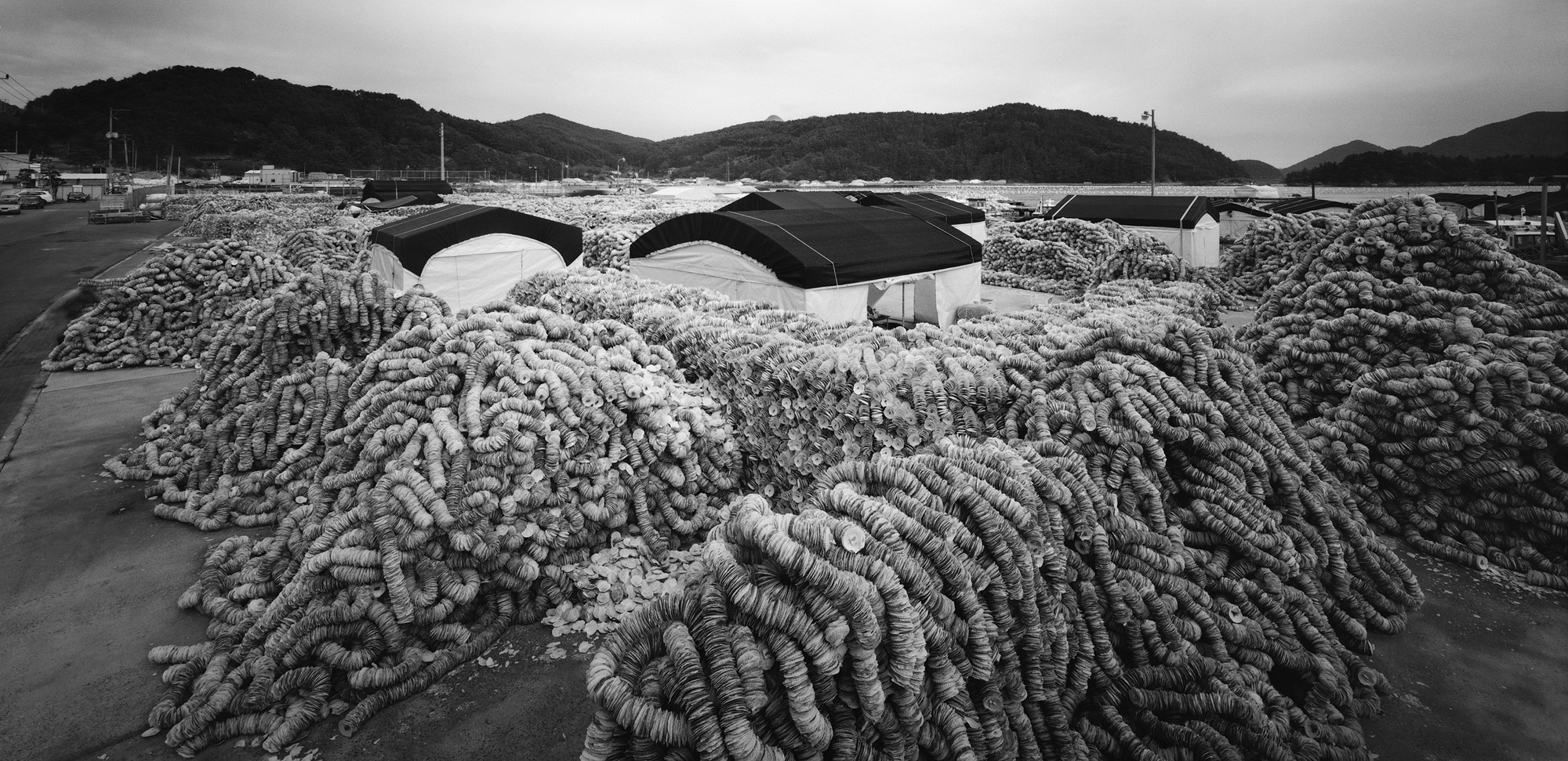 018(half full) 남해안-경남 통영시 용남면,2009 50