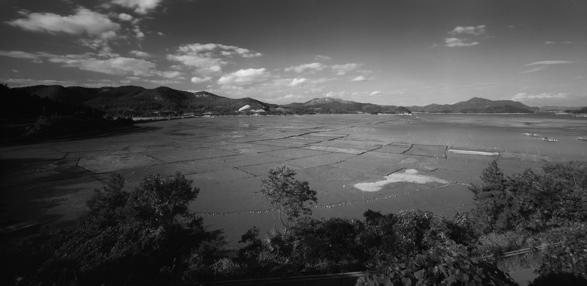 019-남해안-전남 고흥군 포두면 나로1대교 앞바다,2011 50