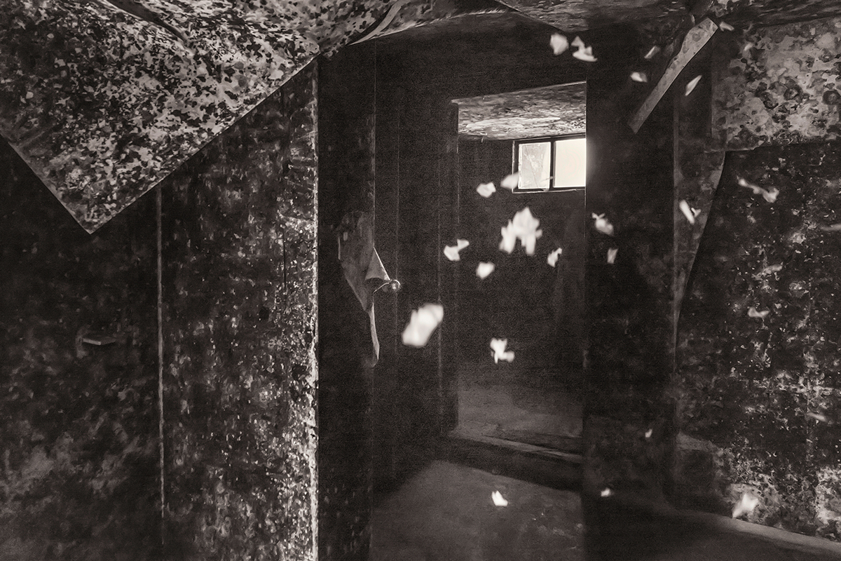 02. The House, UV Print on traditional Korean handmade paper, 65x90cm, 2014