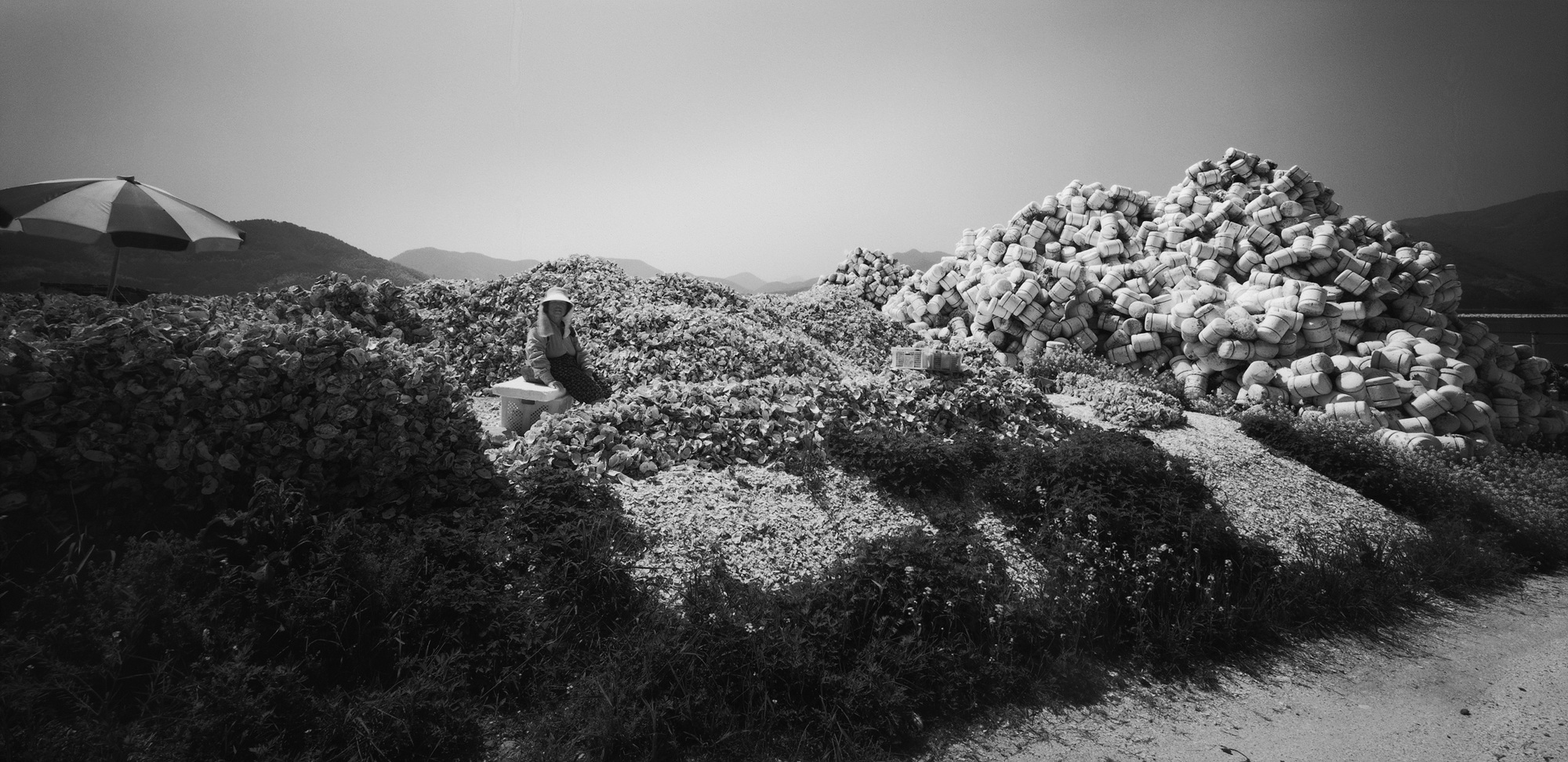 024(full) 남해안-경남 거제시 거제면 01,2009 50