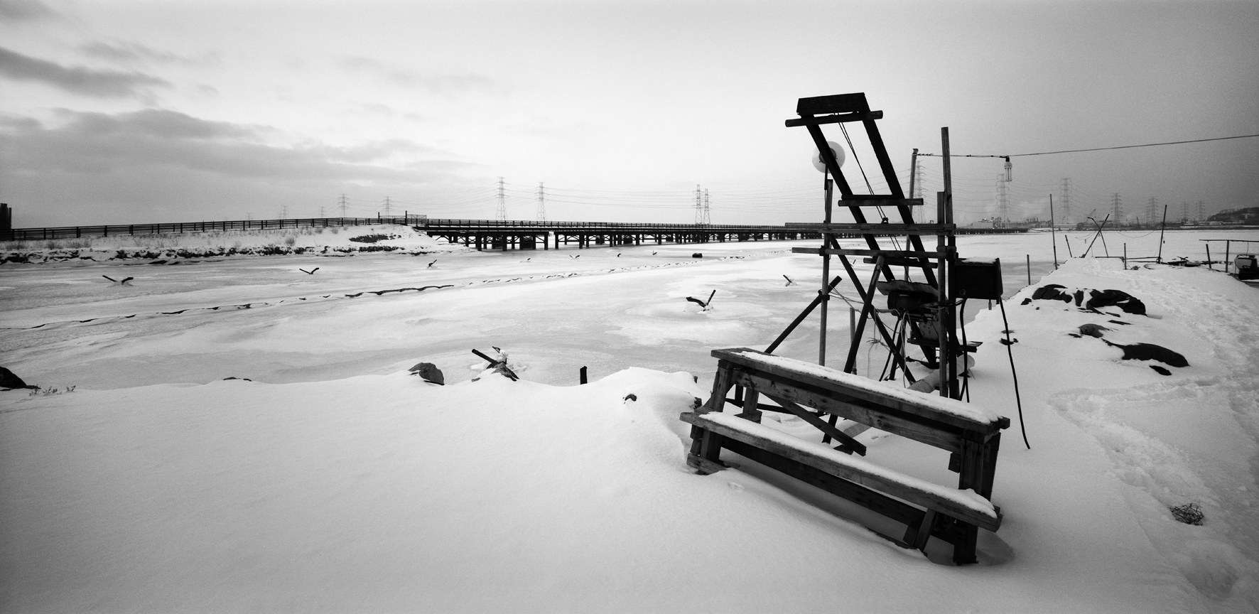 025 서해안-경기도 화성시 시화호 06,2010 50