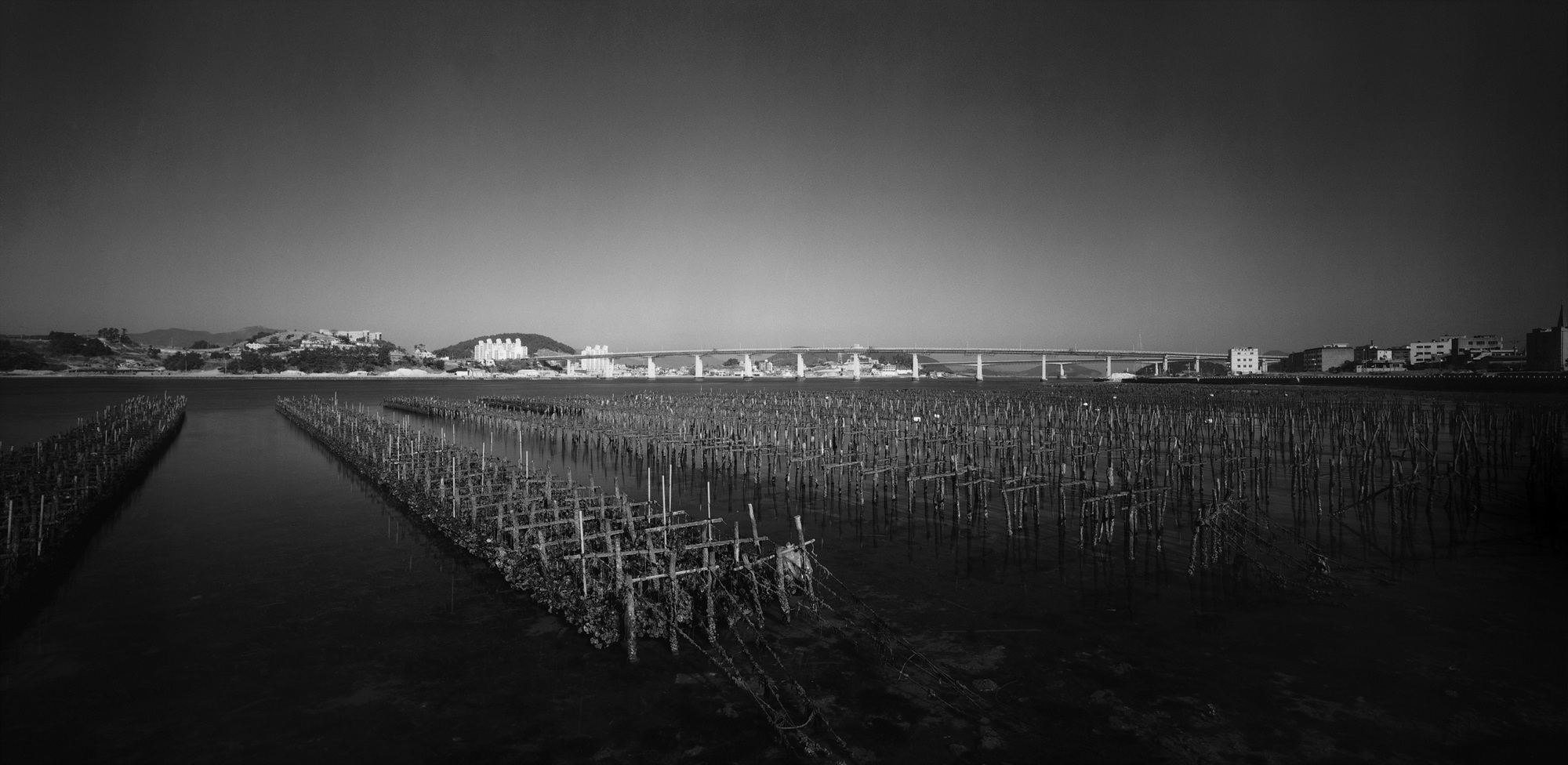 026-남해안-경남 거제시 둔덕면 구거제대교,2010 50