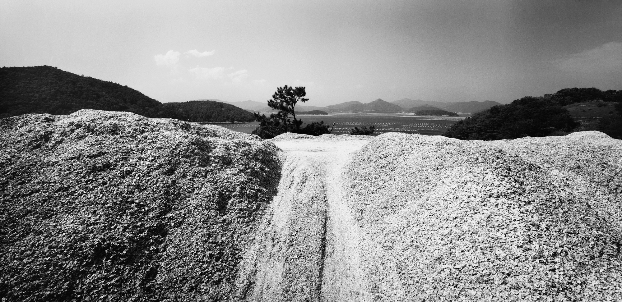 028(half full) 남해안-경남 거제시 거제면 02,2009 50