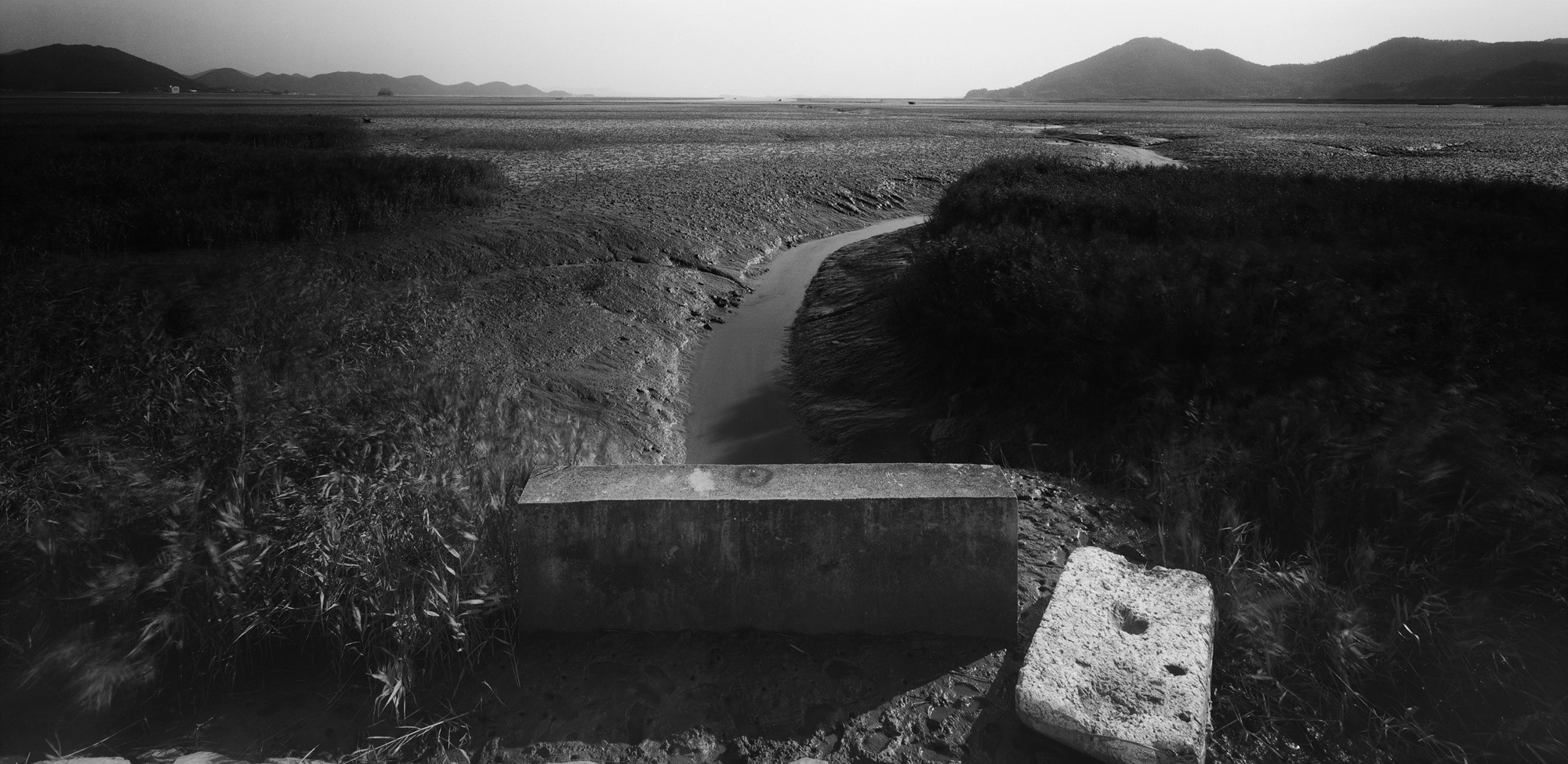 029-남해안-전남 순천시 별량면 순천만,2009 50