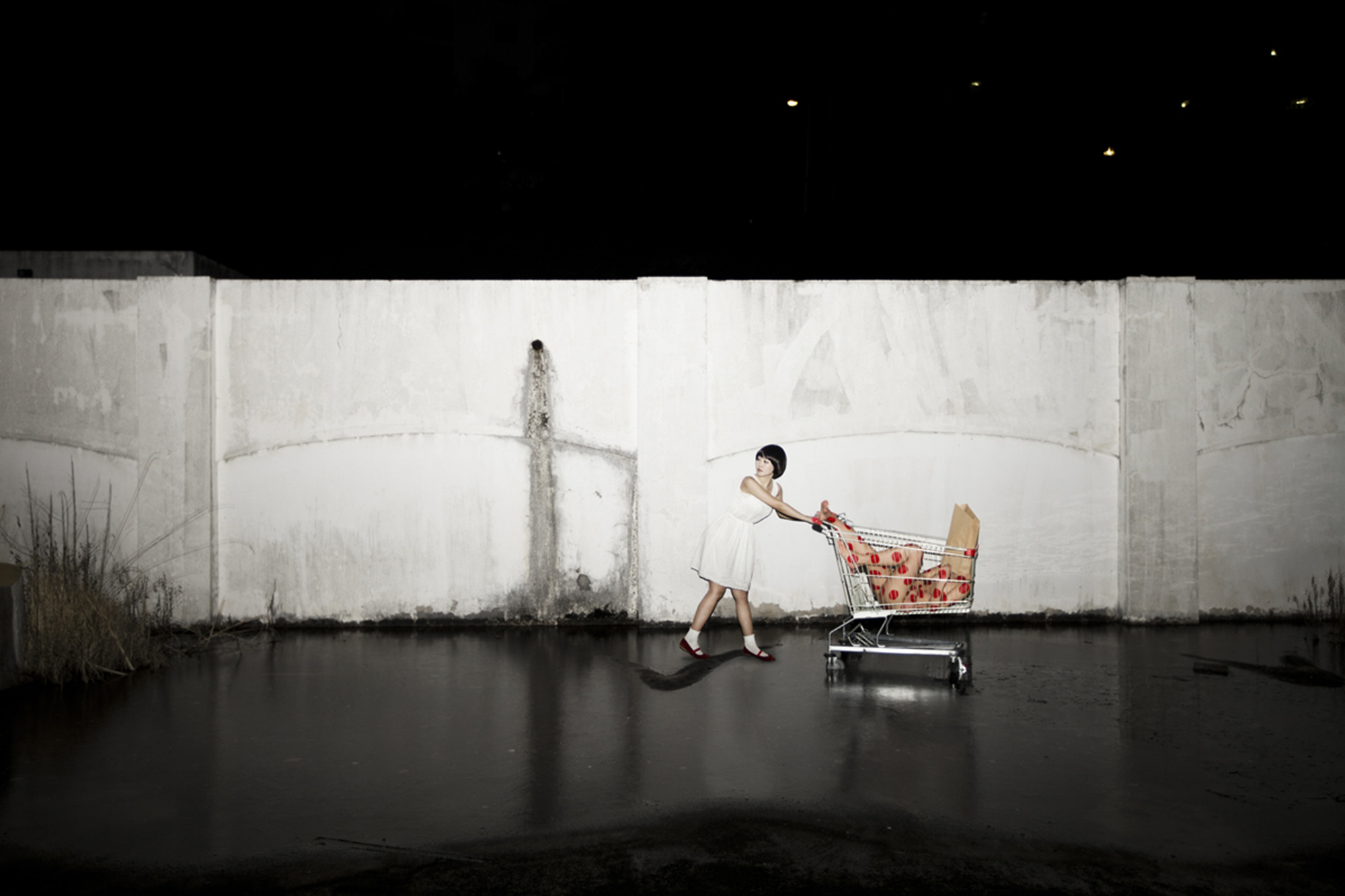 034 At night 2_pigment prin_110x160cm_ 2012