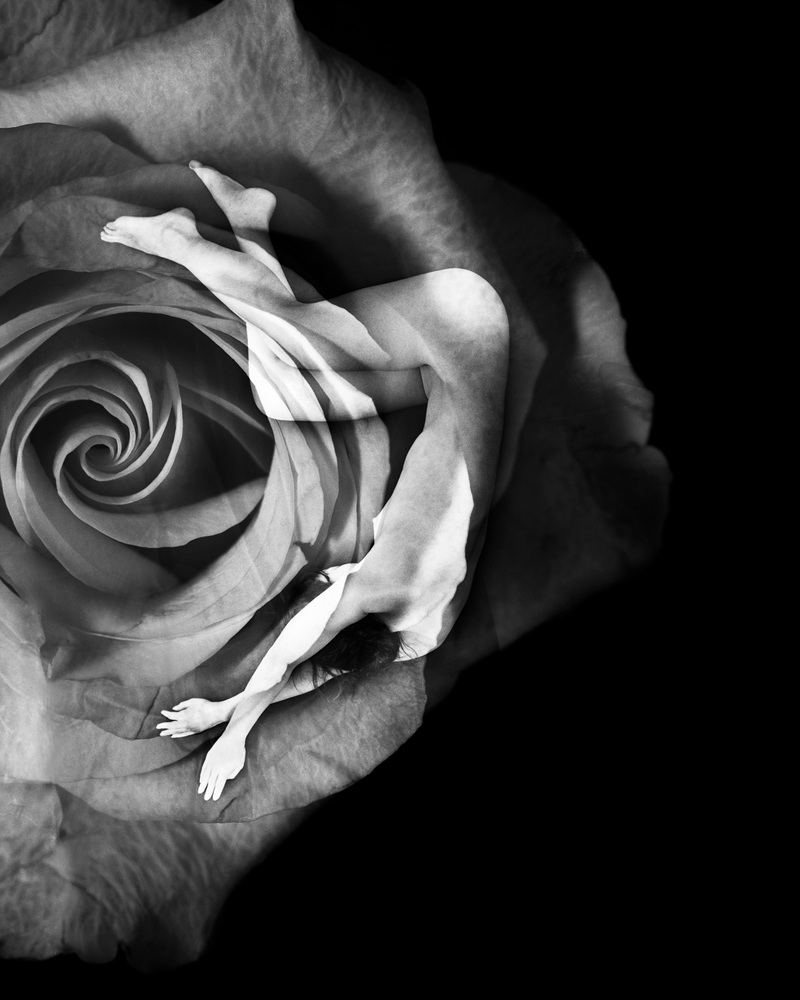 1-[FLOWOM]_pigment prin_40x50in_2008