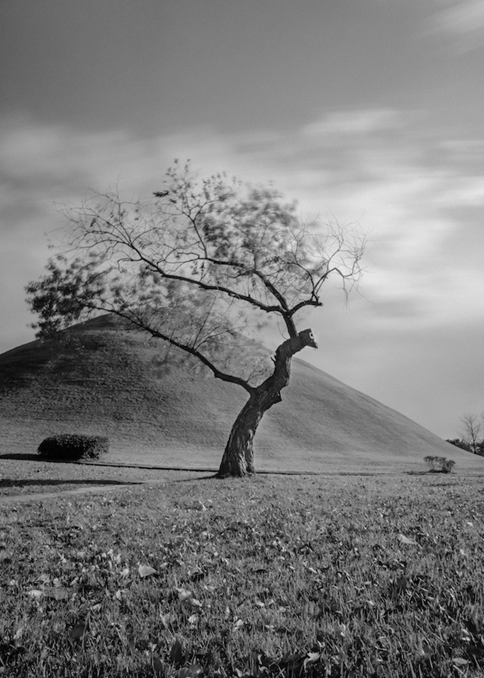 1. Just want to see, Pigment Print, 24x36inch, 2013-2014