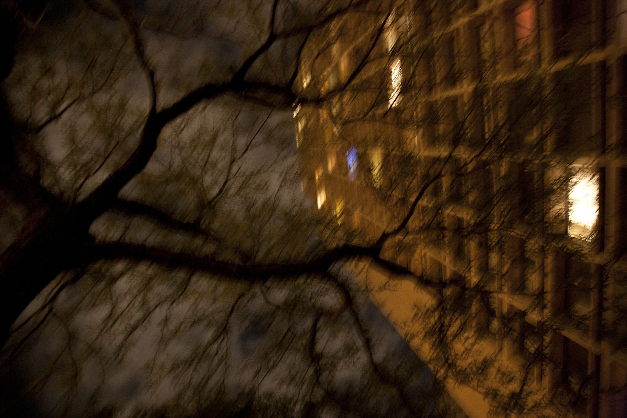 1. New York, I dreamt, 2009